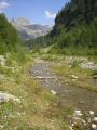 HEILIGENBLUT_2003_089_tm.jpg